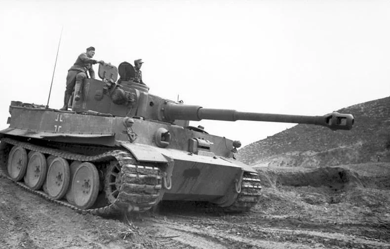 Vista 12 de Tiger I